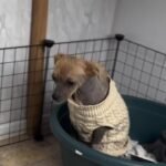 The First Breakthrough