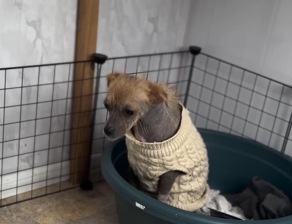 The First Breakthrough