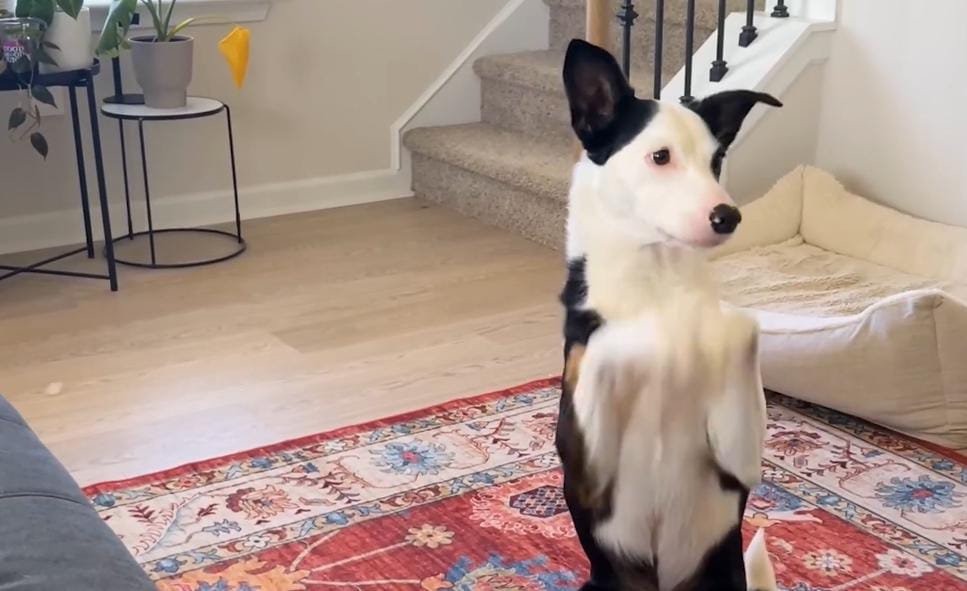 A Sisterly Bond Built on Comfort