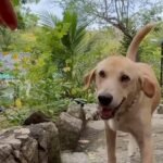 Healing Through Care and Nutrition