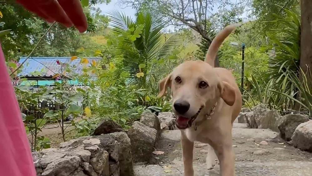 Healing Through Care and Nutrition