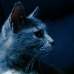 The Social Connection Between You and Those Midnight Sprints