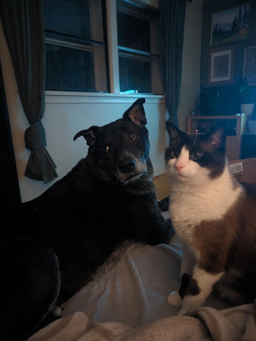 Their Unlikely Friendship