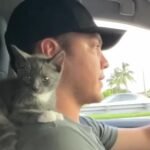 A Crying Kitten Turns a Skeptical Boyfriend Into a Devoted Cat Lover