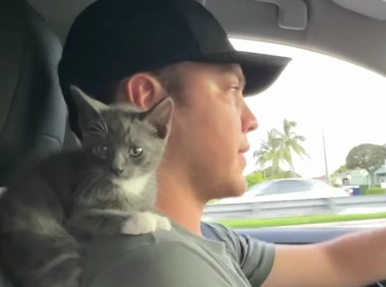 A Crying Kitten Turns a Skeptical Boyfriend Into a Devoted Cat Lover