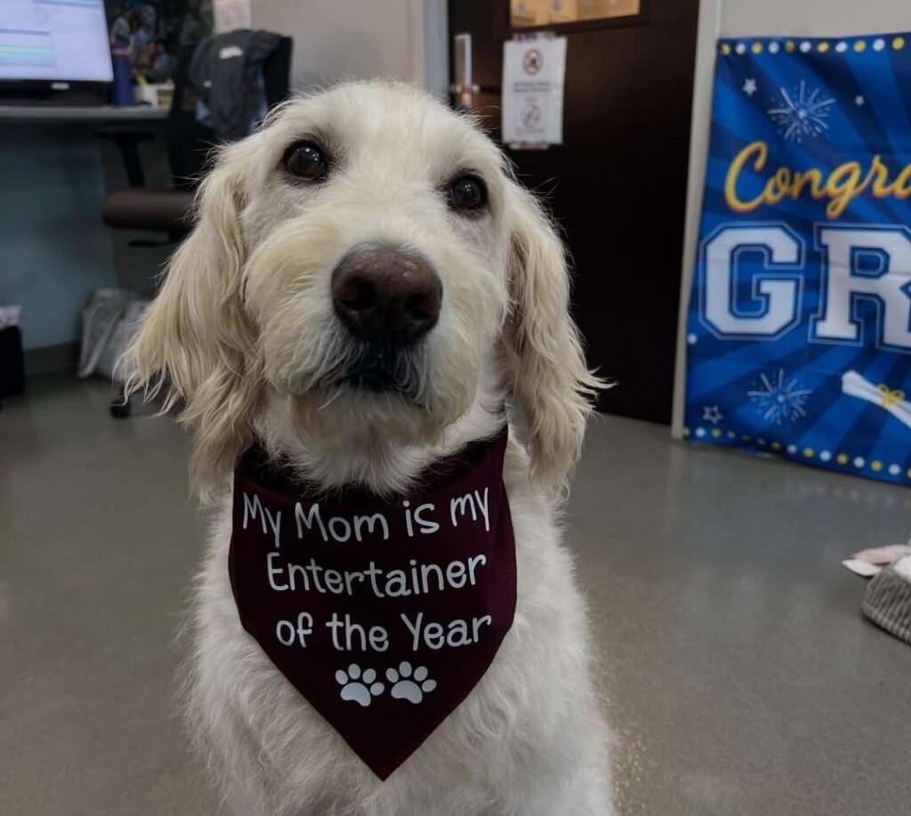 A Bond That Defined a Decade