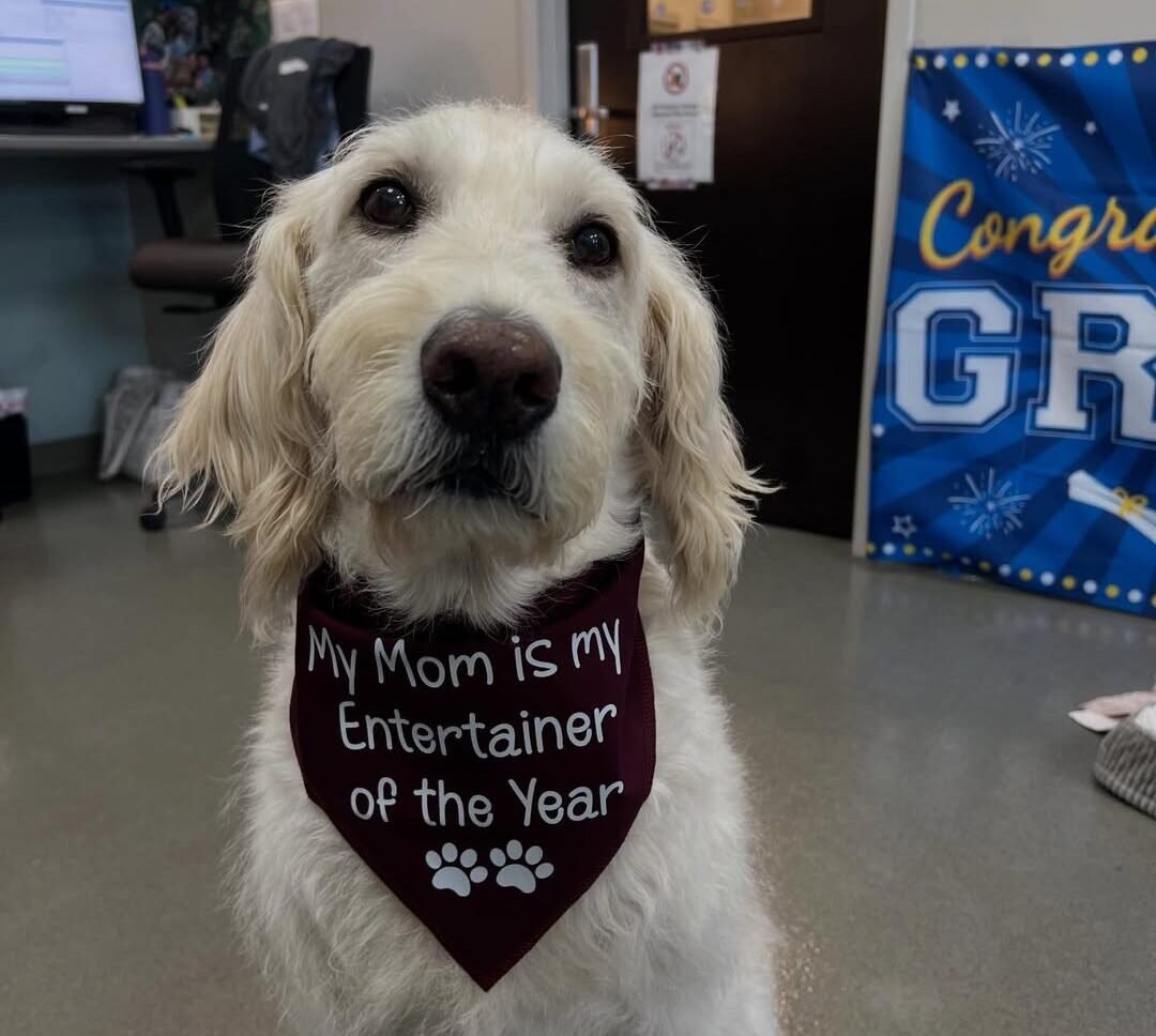 A Bond That Defined a Decade