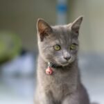 When Wall Staring Becomes a Concern