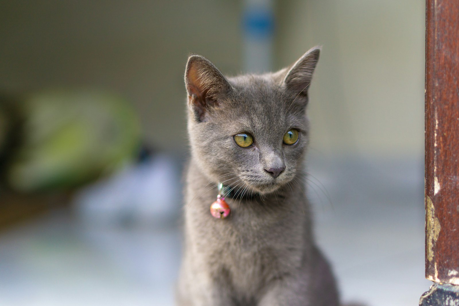 When Wall Staring Becomes a Concern