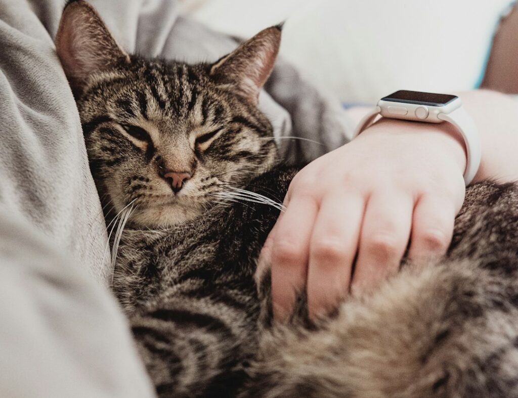 Your Heartbeat is Soothing