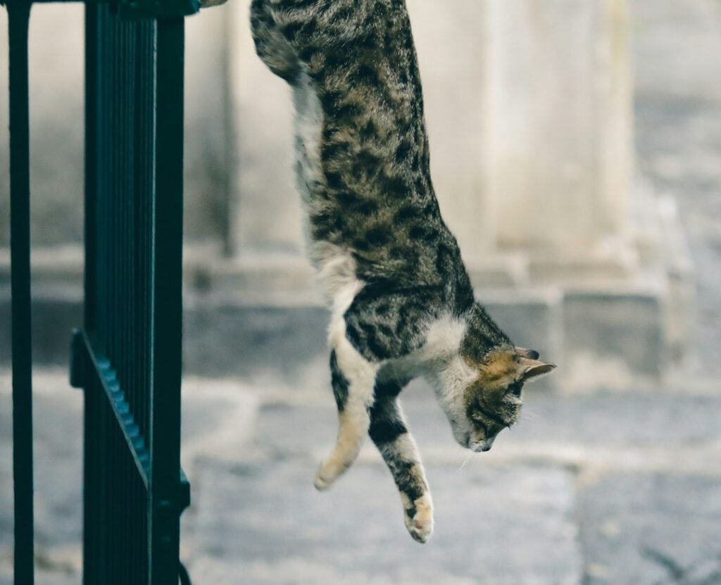 They're Not Actually Invincible Though