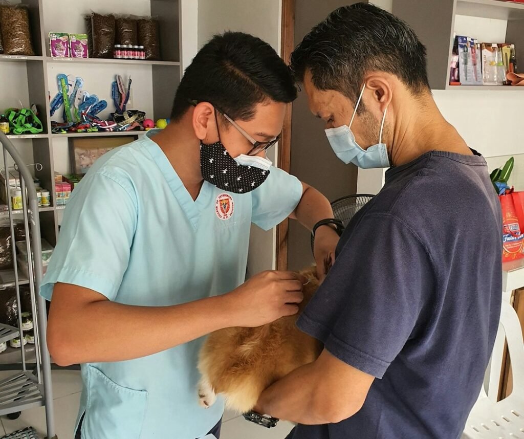 Getting a Proper Veterinary Diagnosis