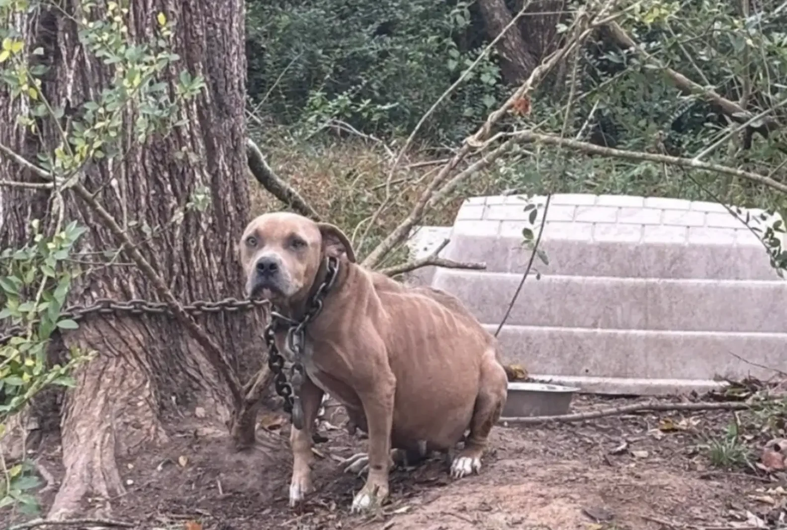 A Desperate Discovery