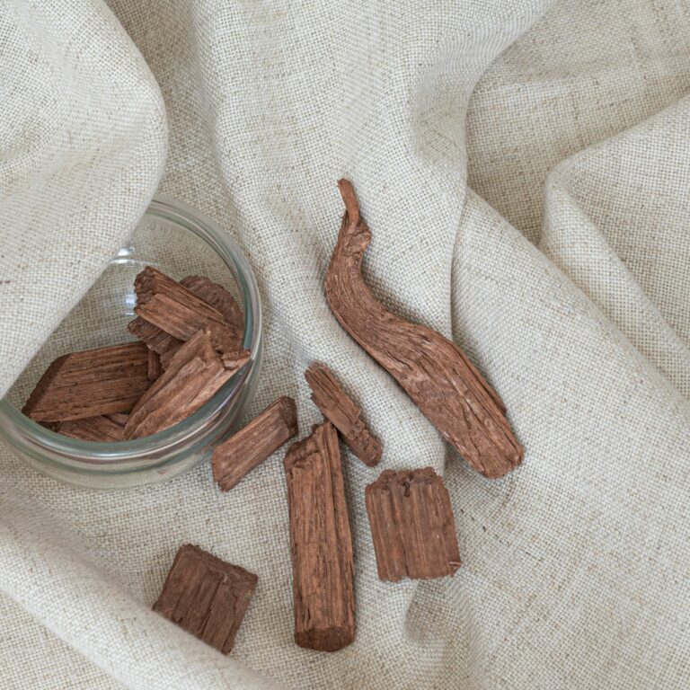 Scents That Repel Fleas Naturally and Are Safe for Cats - felinefam.com