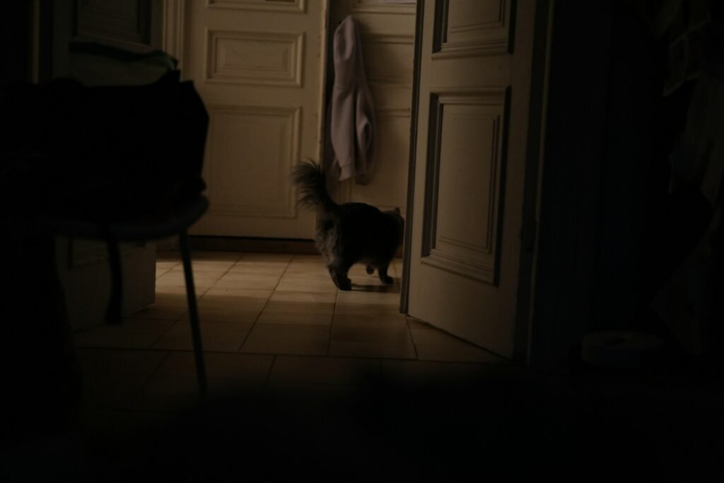 Environmental Triggers You Might Not Have Considered