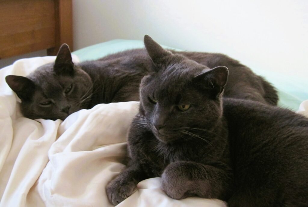 Navigating the Emotional Aftermath