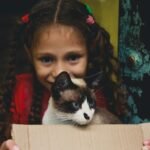 Conclusion: Finding Your Perfect Feline Match