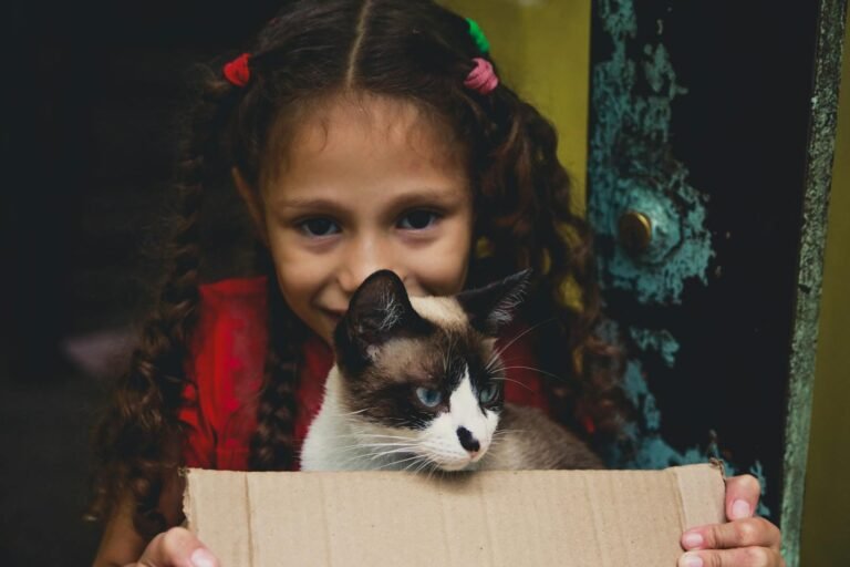 Conclusion: Finding Your Perfect Feline Match