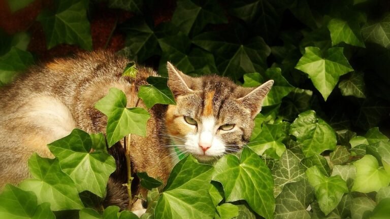 12 Common Household Plants That Are Toxic to Cats (and What to Use Instead)