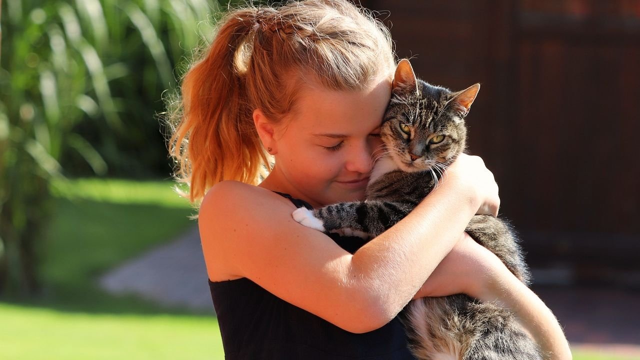 8 Cat Breeds That Are Surprisingly Good with Children: A Guide for Families
