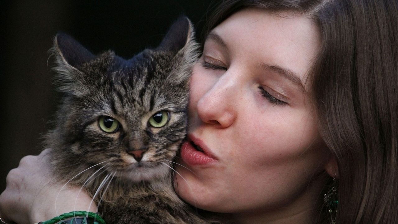 Your Cat's Affection Is Earned, Not Given Freely