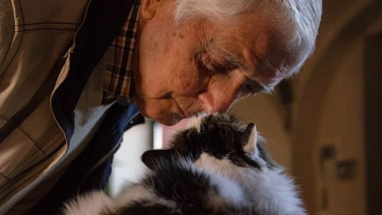 Why Do Some Cats Prefer the Company of Older Humans?