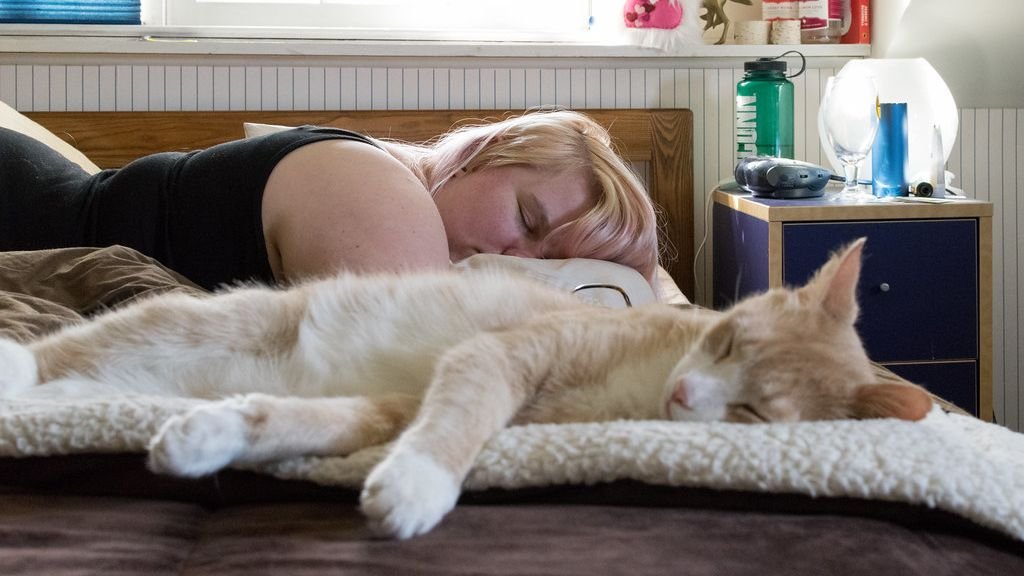 Cats Often Mimic Their Favorite Human's Schedule, Even Subtly