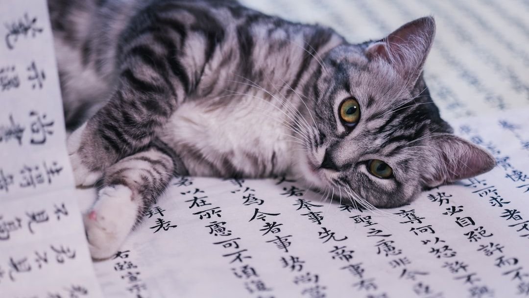Does Your Cat Understand More Human Words Than You Think?
