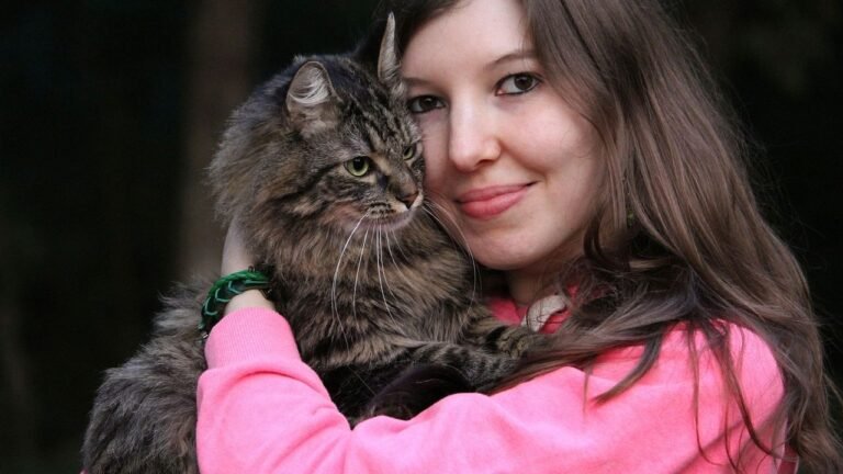 The 'Independent Cat' Is a Myth: Your Feline Craves Connection