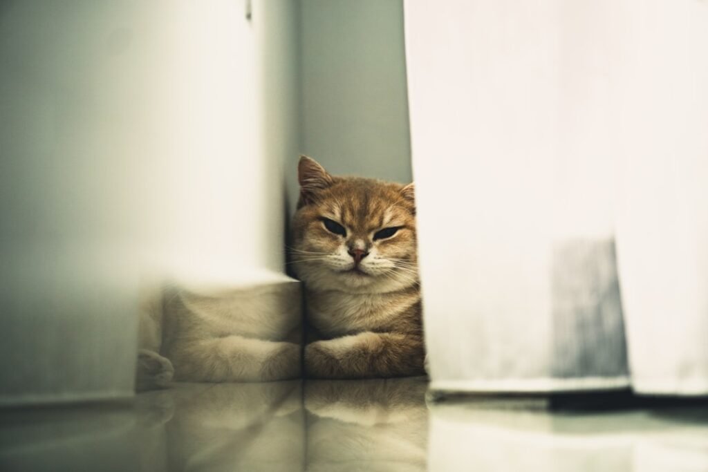 Subtle Reactions Reveal Hidden Awareness 