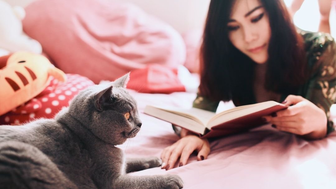 The Quiet Moments Shared with Your Cat Are Profound Bonds in the Making