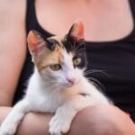 Ignore the Old Wives' Tales: Cats Form Profound, Lifelong Bonds