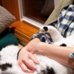 11 Tell-Tale Signs Your Cat Is Actually Enjoying Your Cuddles (Not Just Tolerating Them)