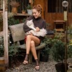 The 'Crazy Cat Lady' Stereotype Is a Gross Misrepresentation of Feline Fandom