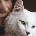 Your Cat's 'Independence' Is a Clever Act; They Need You More