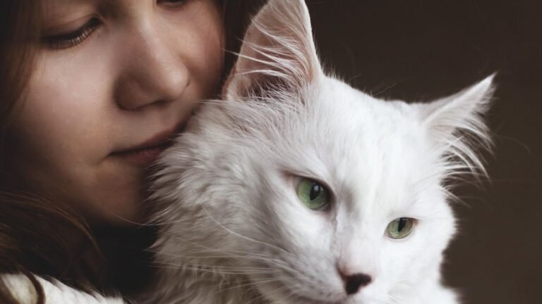 Your Cat's 'Independence' Is a Clever Act; They Need You More