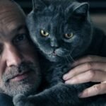 15 Things Only Cat Owners Over 50 Truly Understand