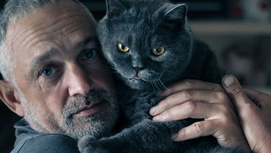 15 Things Only Cat Owners Over 50 Truly Understand