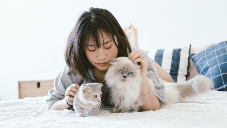 7 Habits You Think Are Annoying That Your Cat Actually Finds Deeply Reassuring