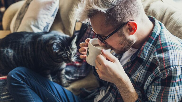 Your Cat's Morning Rituals Aren't Just Habits; They're a Profound Expression of Trust