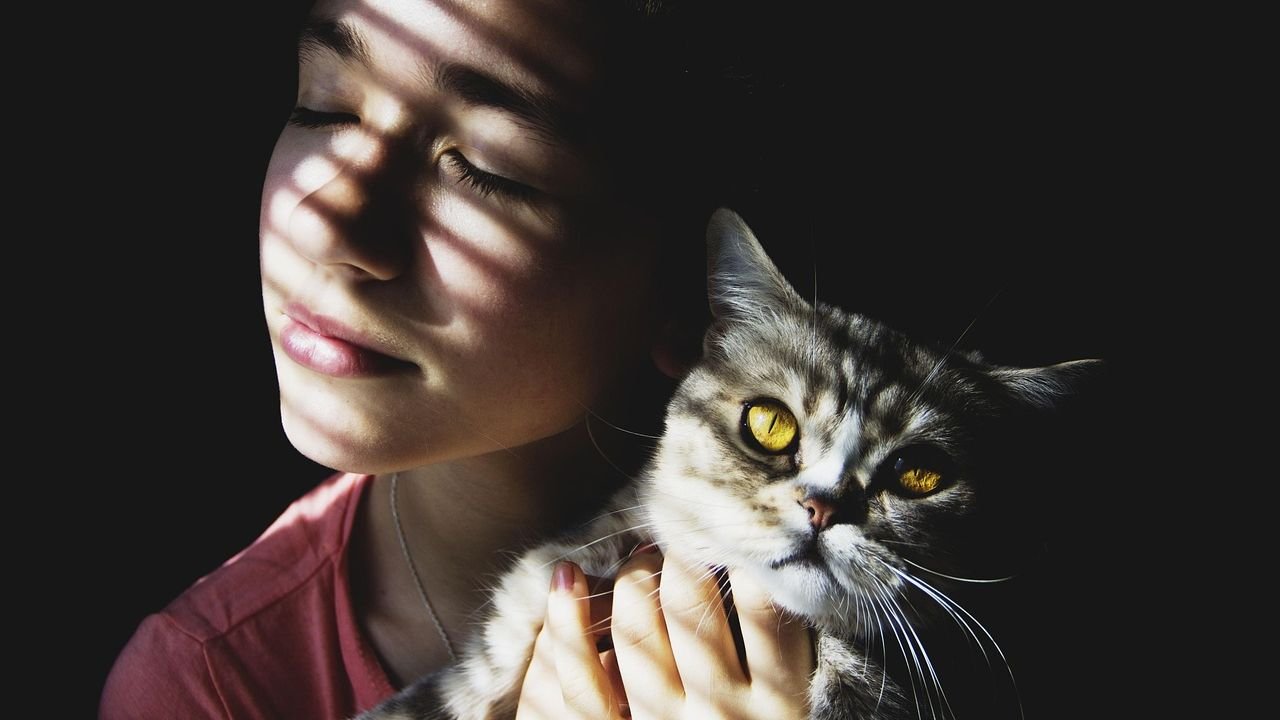 Your Cat Understands Your Moods Better Than You Think