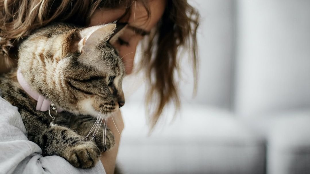 8 Things Cats Do That Humans Find Annoying, But Are Actually Loving Gestures