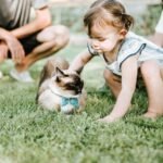 10 Cat Breeds That Are Surprisingly Good with Children and Grandchildren