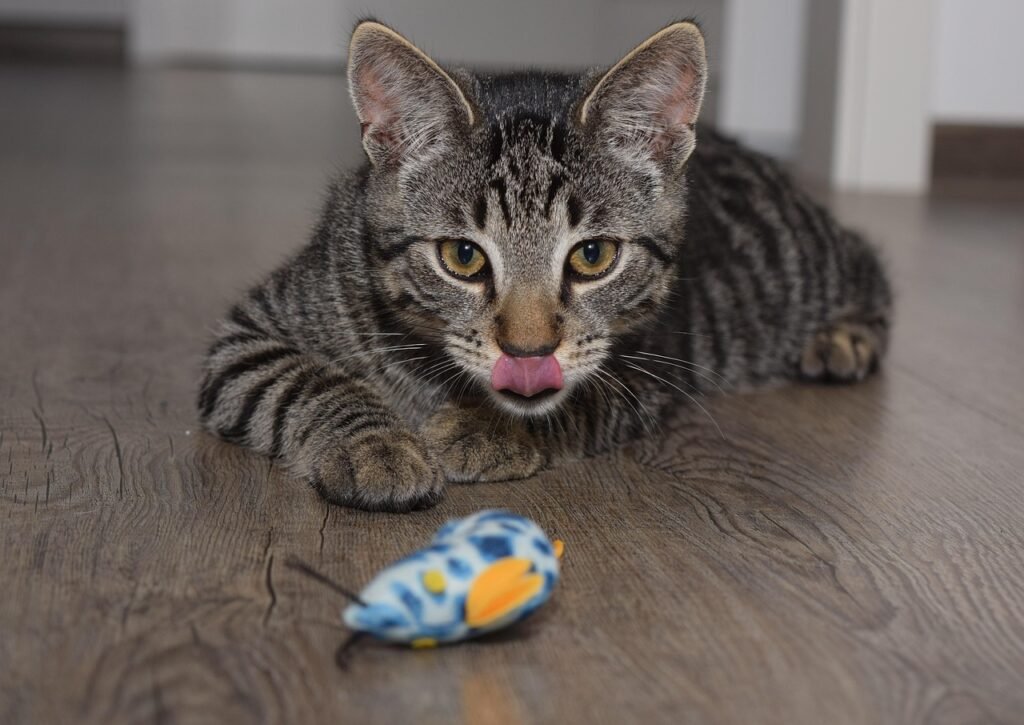 Your Cat Has a Specific Prey Type Preference 