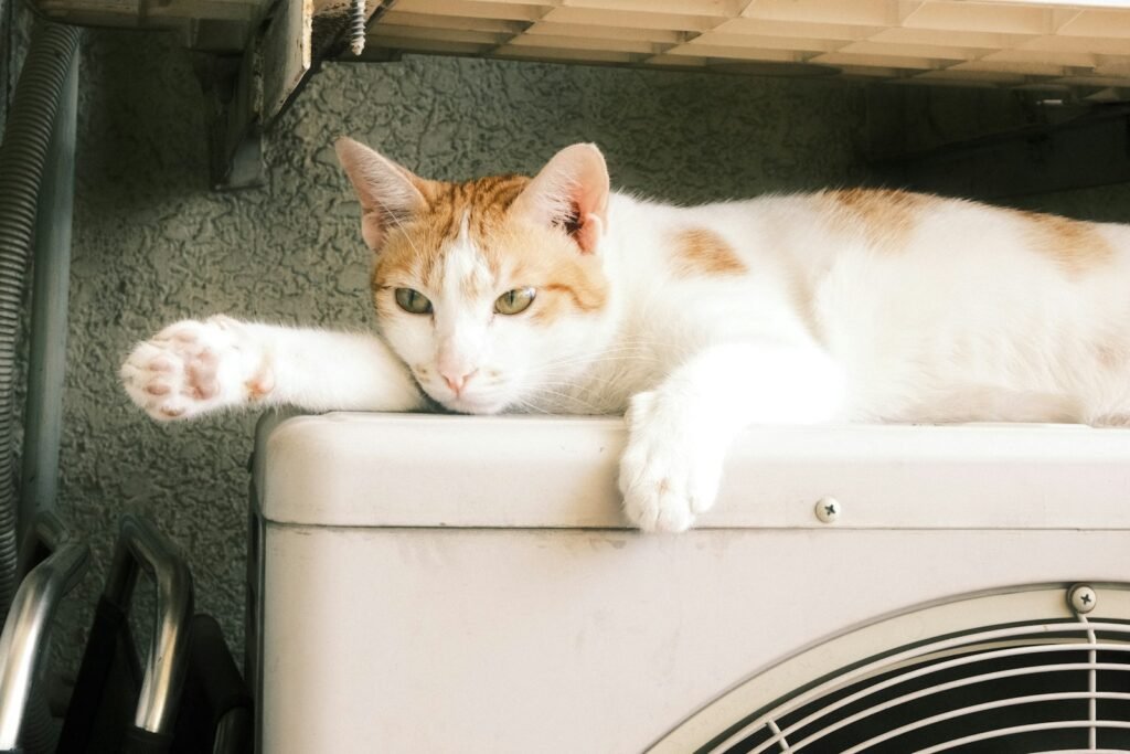 Warm Spots Near Appliances