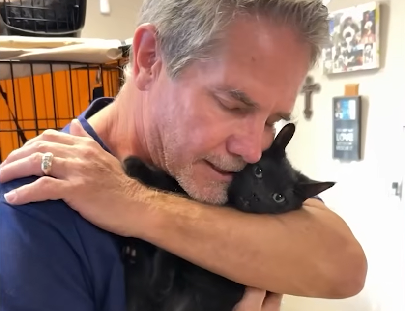 Miracle Kitten Bon Jovi Defies Death After Being Buried Alive, Bonds with Rescuer Over Bird-Watching