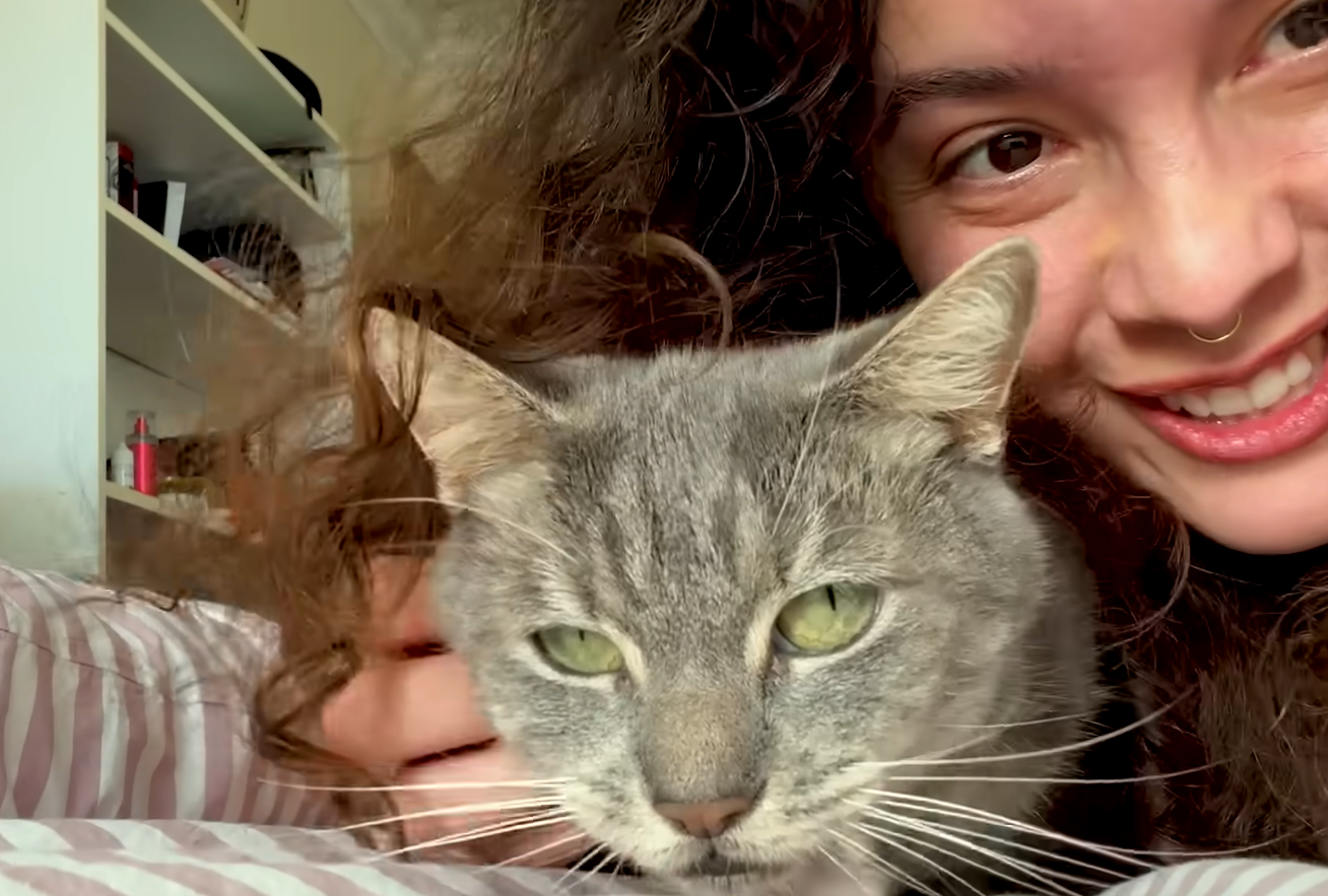 London Woman Climbs Rooftops Daily for Three Weeks to Earn Stray Cat's Trust