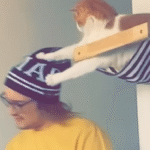 Cat Percy Turns Dream Jungle Gym into a Criminal Empire of Hat Heists and Chaos