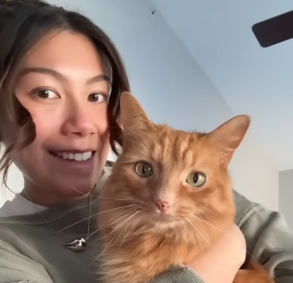 Shy Shelter Cat Obi Wins Hearts Worldwide After Lightning-Fast Bond with New Owner