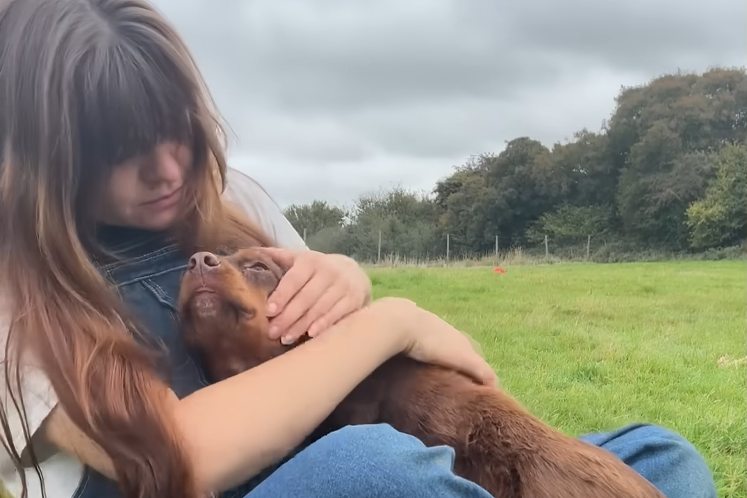 Rescue Dogs' Priceless Reactions to Kisses Highlight Their Unique Spirits